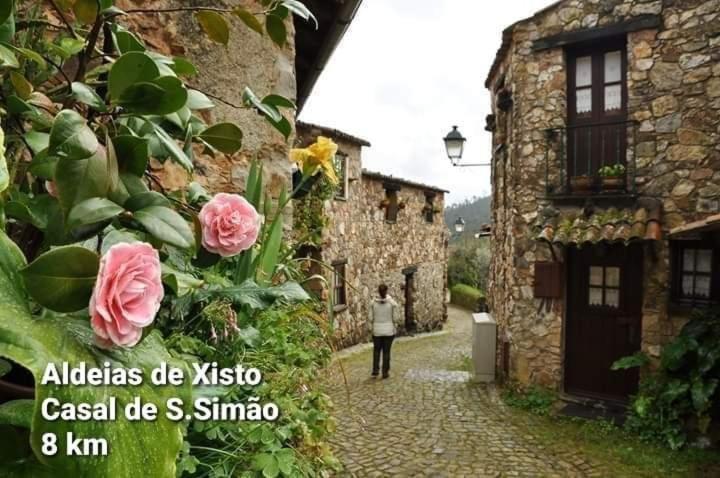 Casa Da Vila Figueiro Dos Vinhos Exterior photo